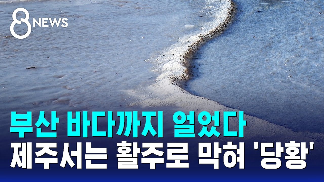 부산 바다까지 얼었다…제주서는 활주로 막혀 '당황' / SBS 8뉴스