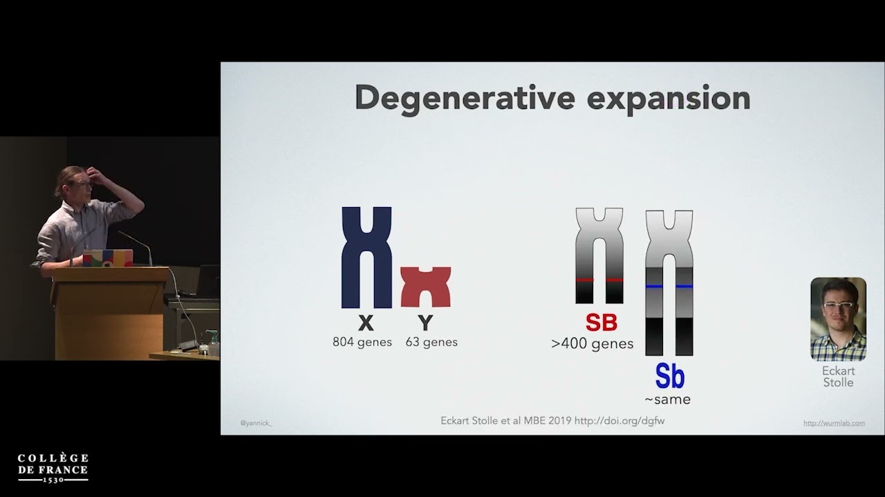 Evolution of a Young Social Supergene in Fire Ants  2022-06-10 Paris Supergene symposium