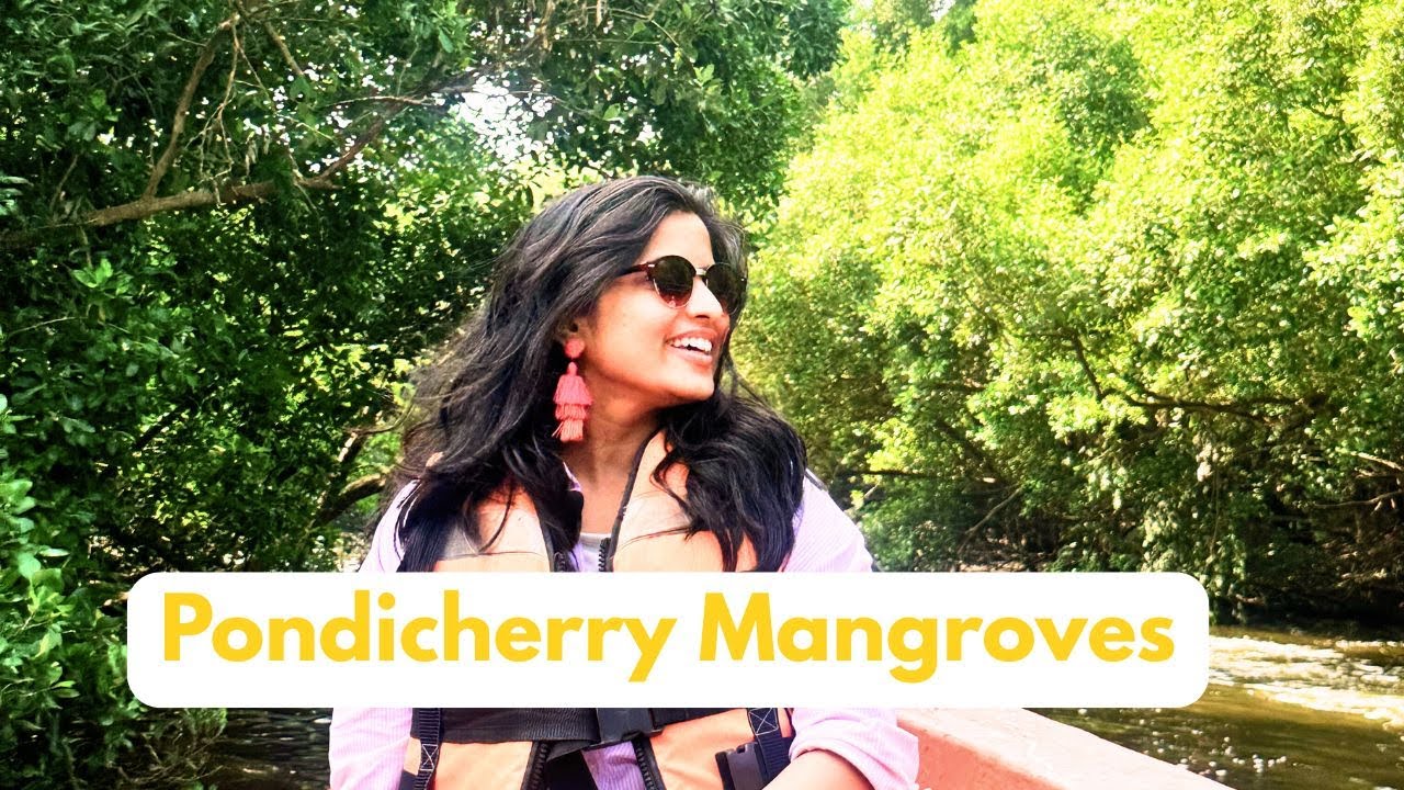 Exploring Pondicherry: Mangrove Forest, Fishing Harbour & River Mouth Boat Ride ⛵⛵    #travel #pondi