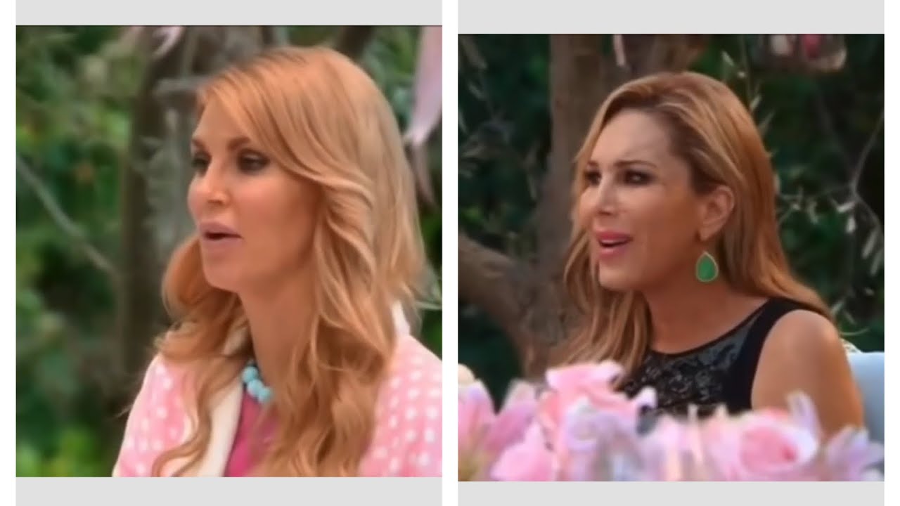 S3 RHOBH LVP lunch4 Brandi vs Adrienne
