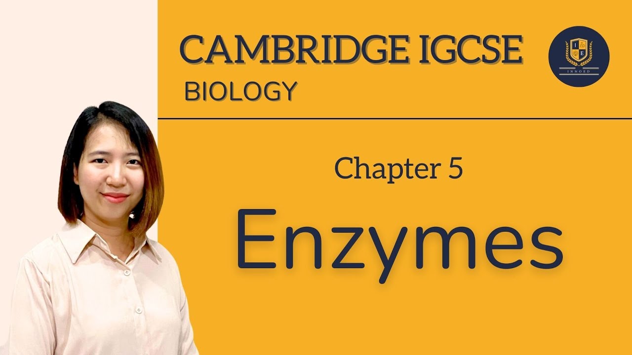 5 - Enzymes and Investigations - Cambridge IGCSE Biology (CIE)