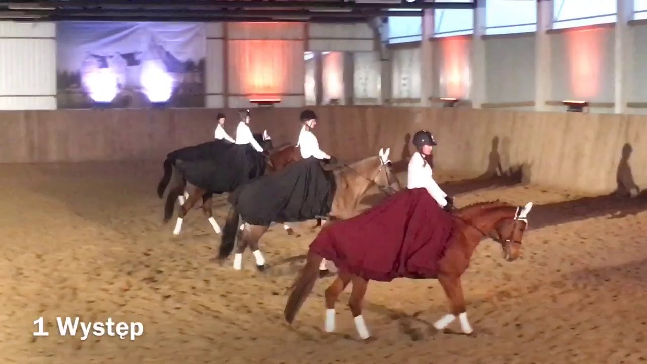 KADRYL Stajnia Mortęgi 2019