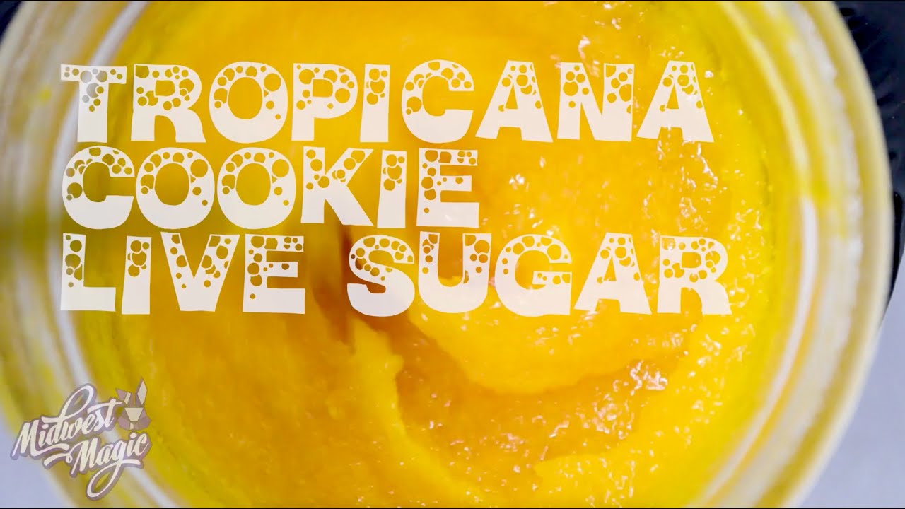 Midwest Magic GMO Sugar