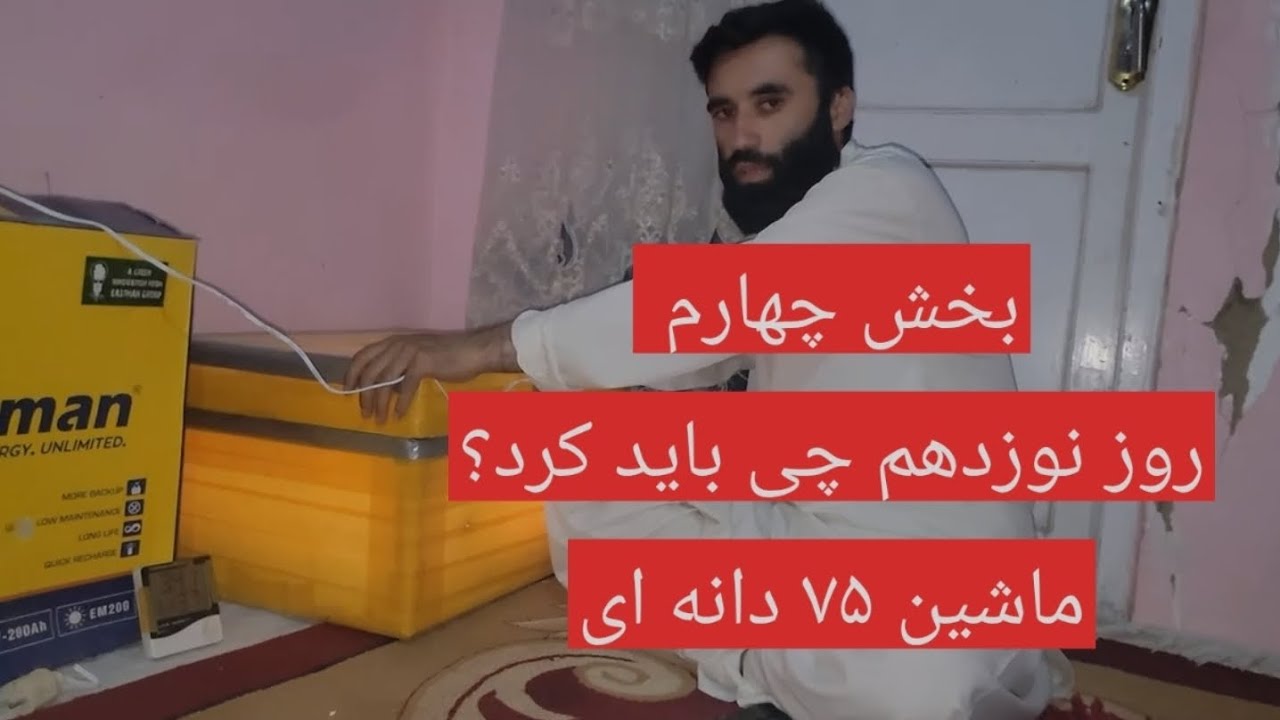 بخش چهارم آموزش جوجه کشی از ماشین ۷۵ دانه #واتس آپ ۰۷۸۹۷۵۷۵۰۱