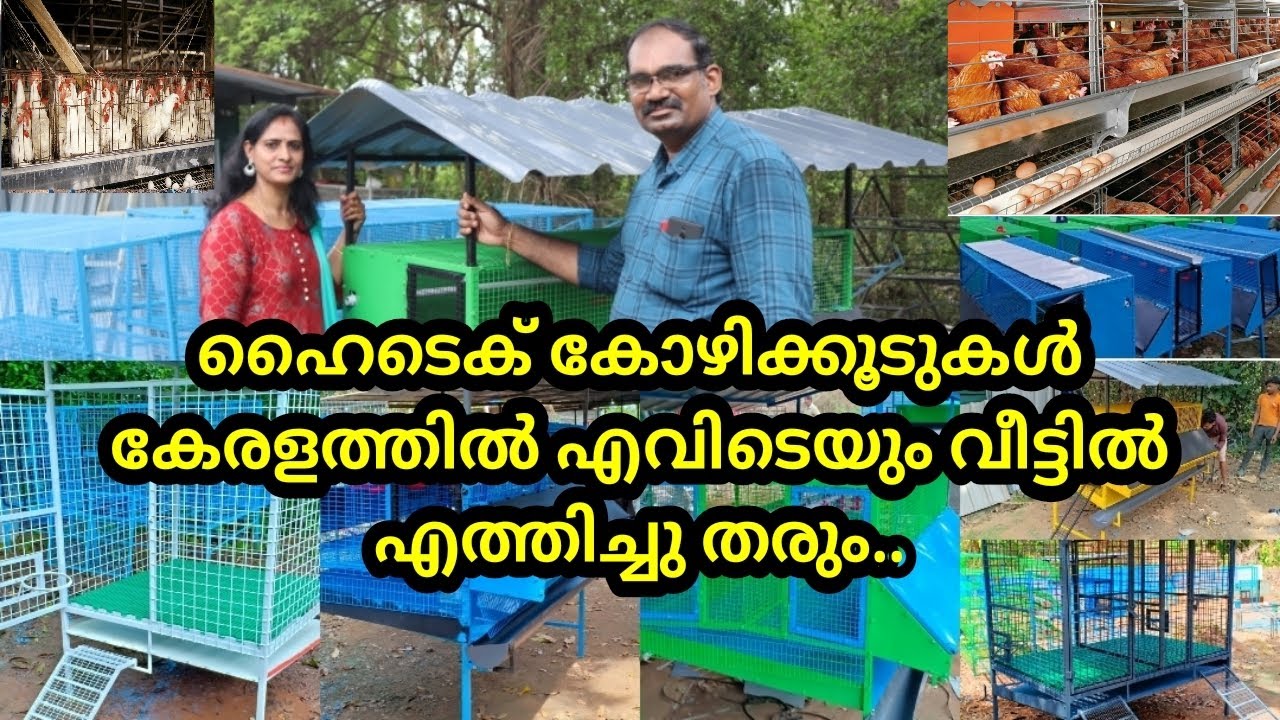 ഹൈടെക് കോഴിക്കൂടുകൾ കേരളത്തിൽ എവിടെയും വീട്ടിലെത്തിച്ചു കൊടുക്കും. നാടൻ കോഴി വളർത്തൽ..
