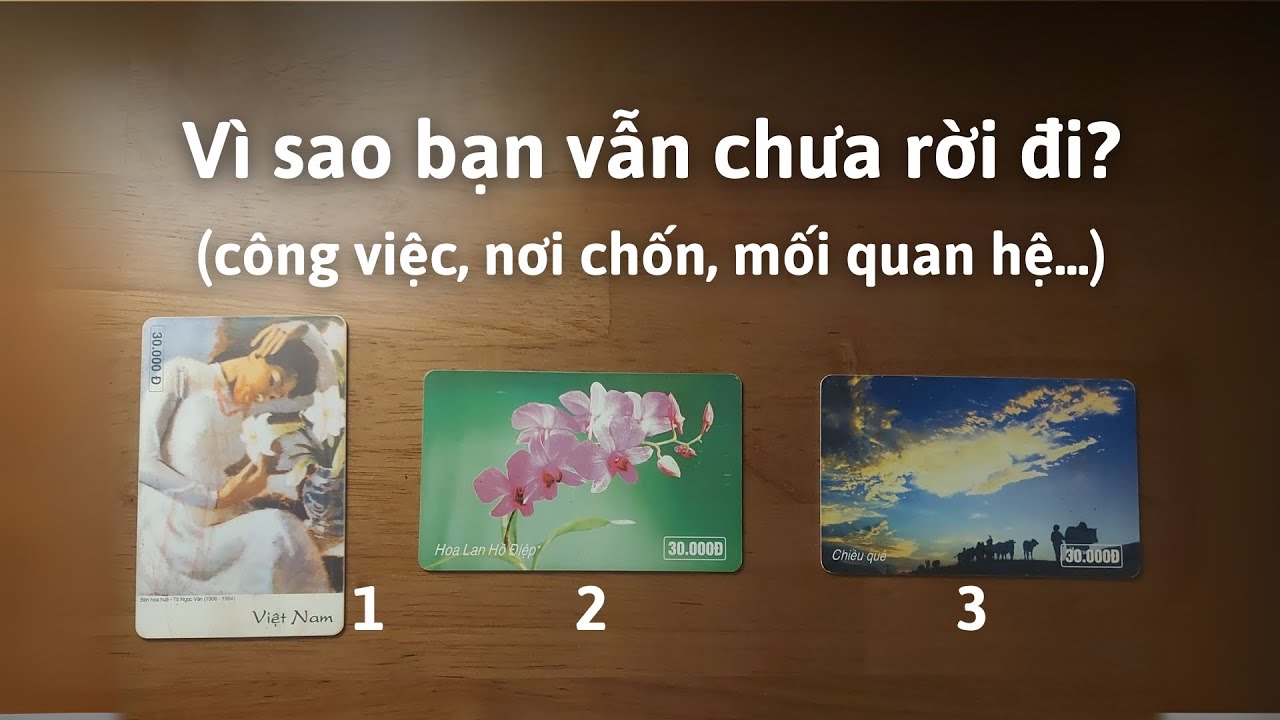 CHỦ ĐỀ MỞ: Vì sao bạn chưa rời đi (công việc/ nơi chốn/ mối quan hệ...)