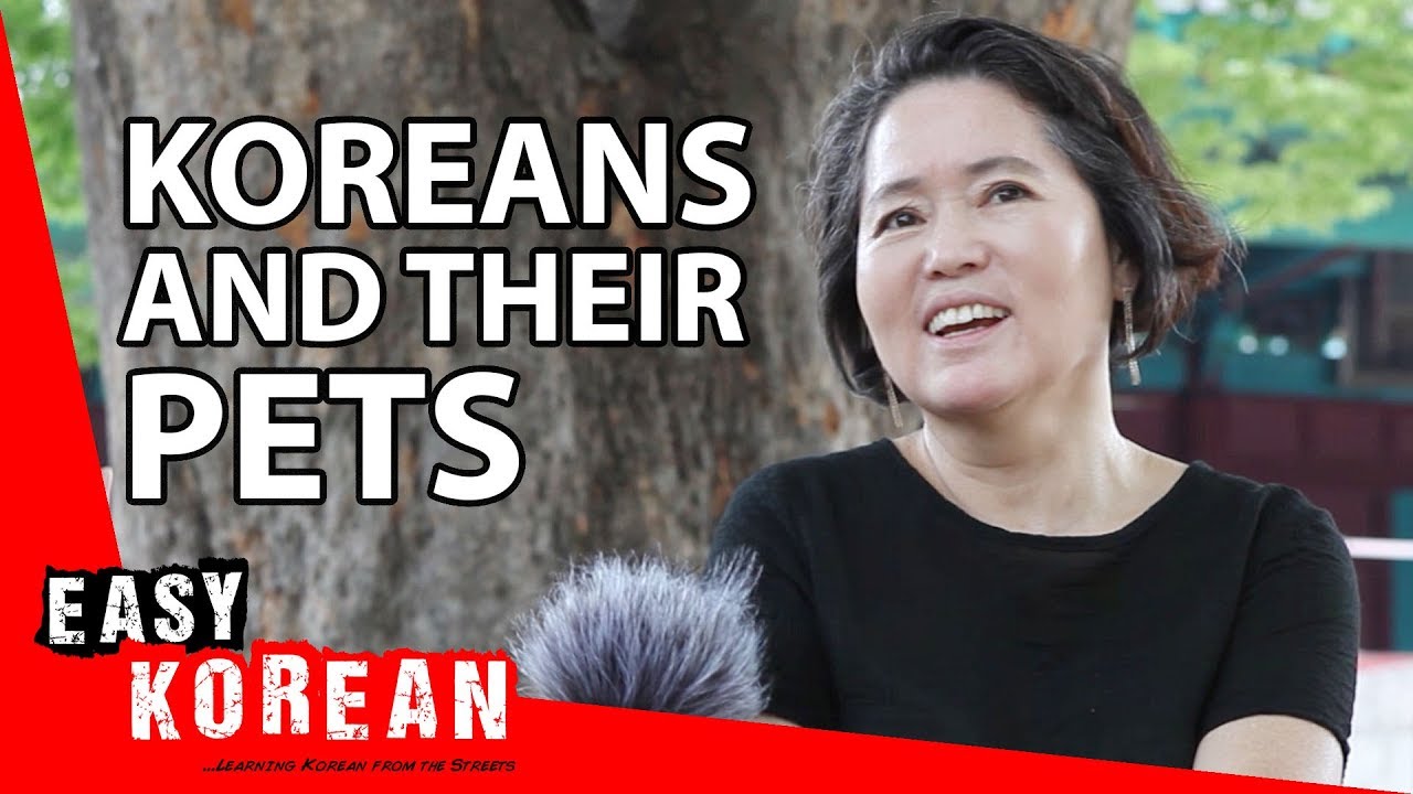 Do you have a pet? | Easy Korean 24