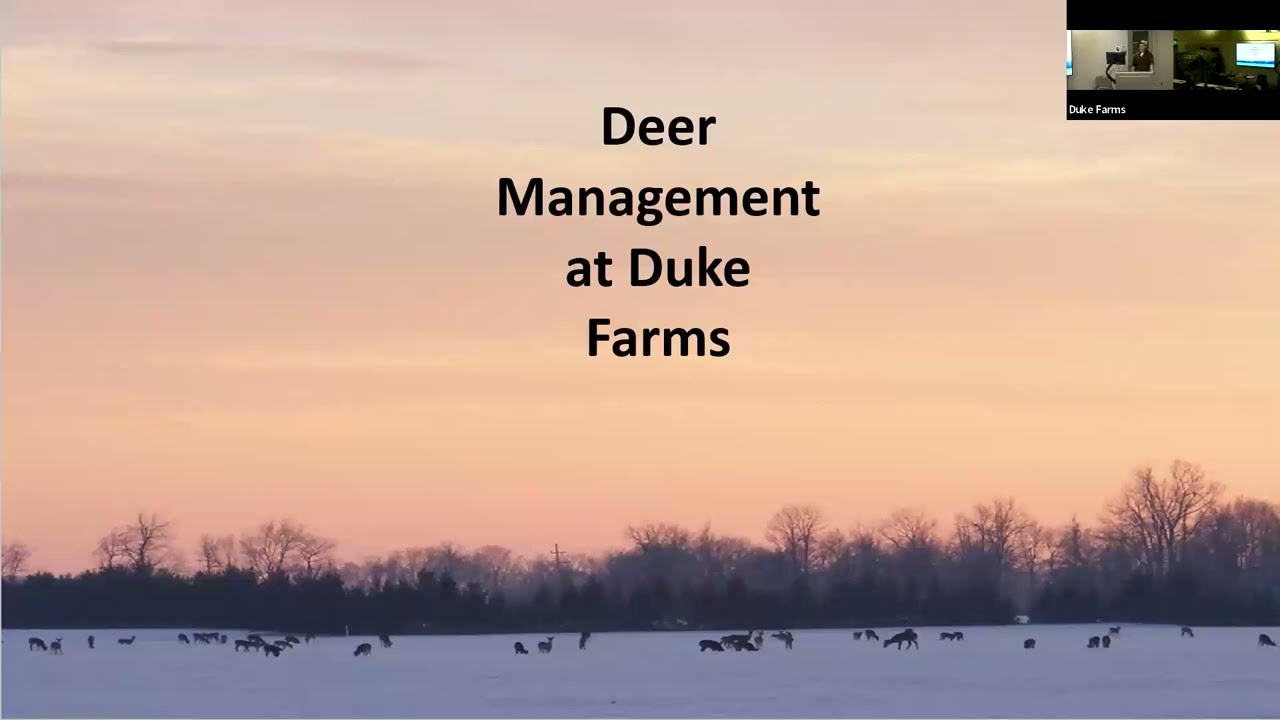 Deer Management at Duke Farms