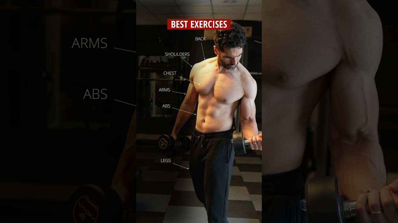 😱 Best Exercises For ALL BODY PARTS !!