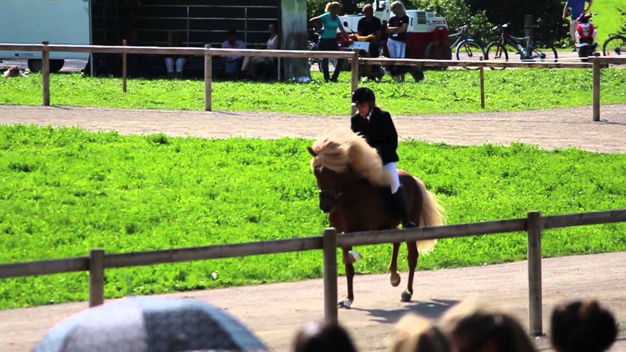 MEM Islandpferde 2014 Reithof Neckertal