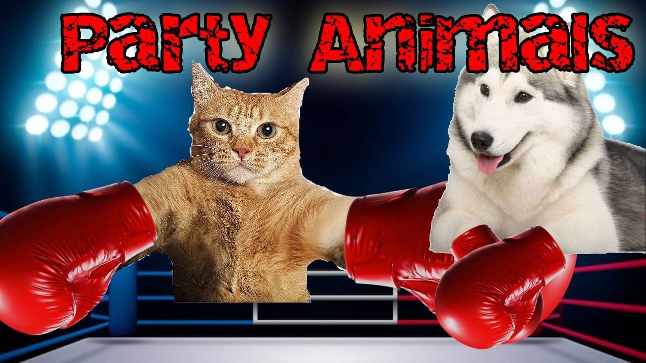 Our First Time | Party Animals