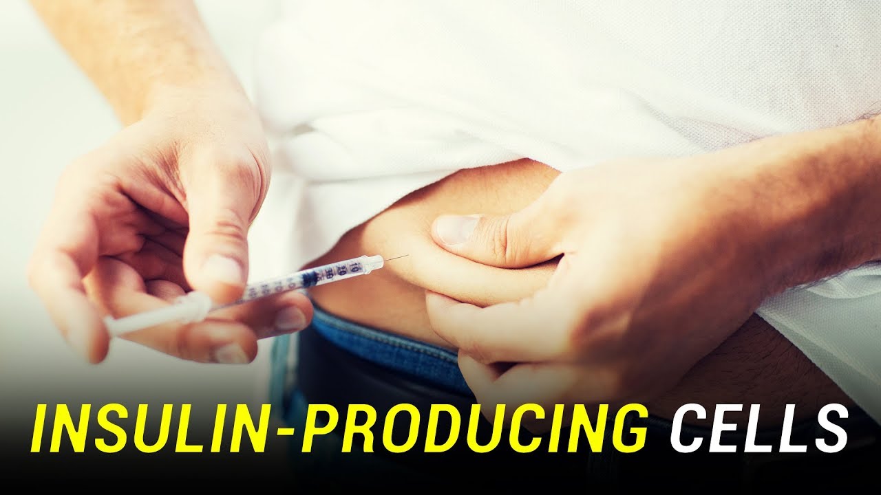 Stem cells converted into insulin-producing cells
