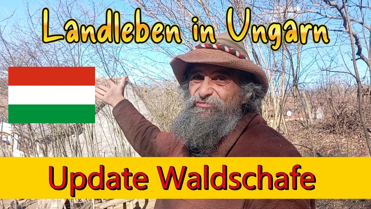 Update Waldschafe Landleben in Ungarn