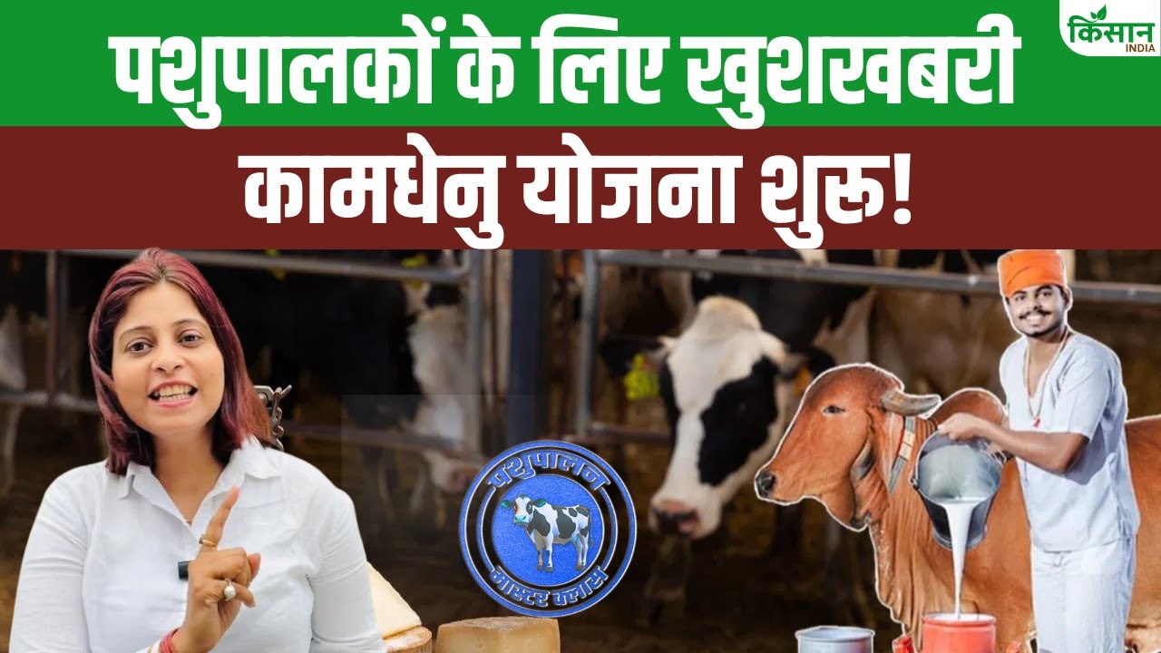 MP में डेयरी शुरू करने वालों के लिए सरकार की कमाल की योजना,पाएं 42 लाख तक की मदद!। Kamdhenu Yojana