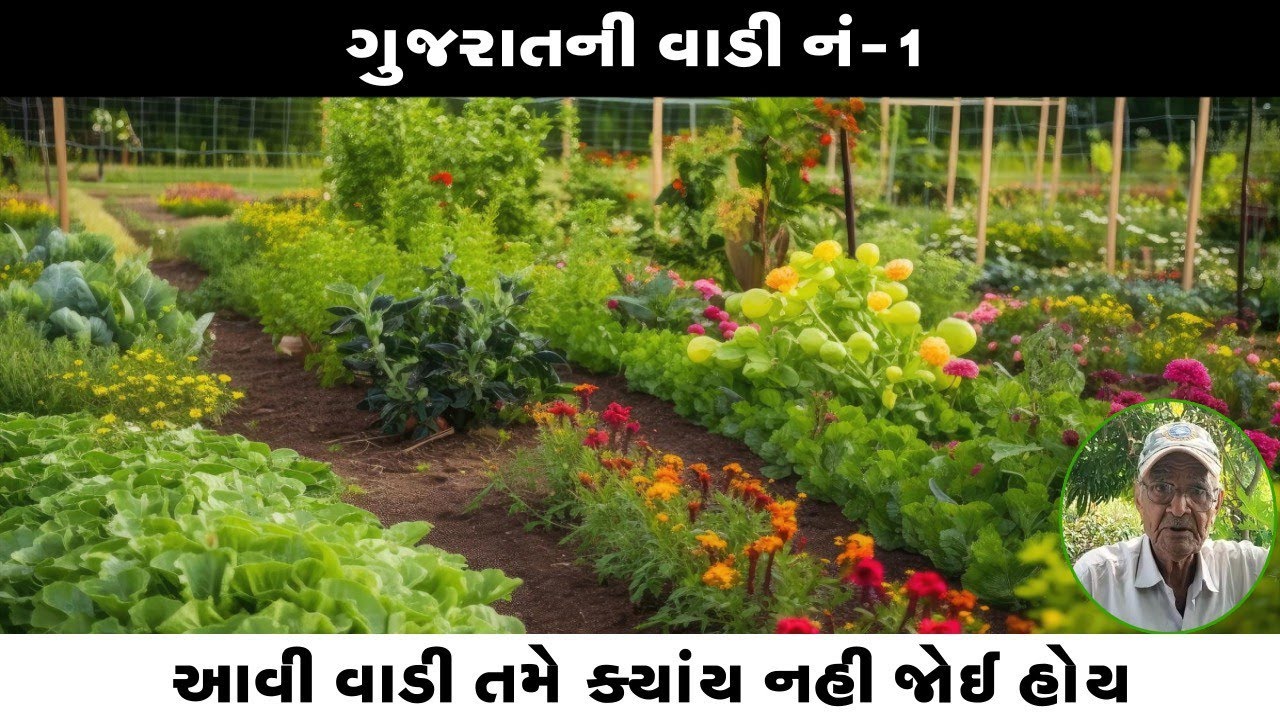ભીમશીભાઈની વાડી બોલે છે llઆ વાડીમાં જોવા મળશે એવું તમને દેશમાં ક્યાંય નહીં જોવા મળે ll ખેડૂતનો વૈભવ
