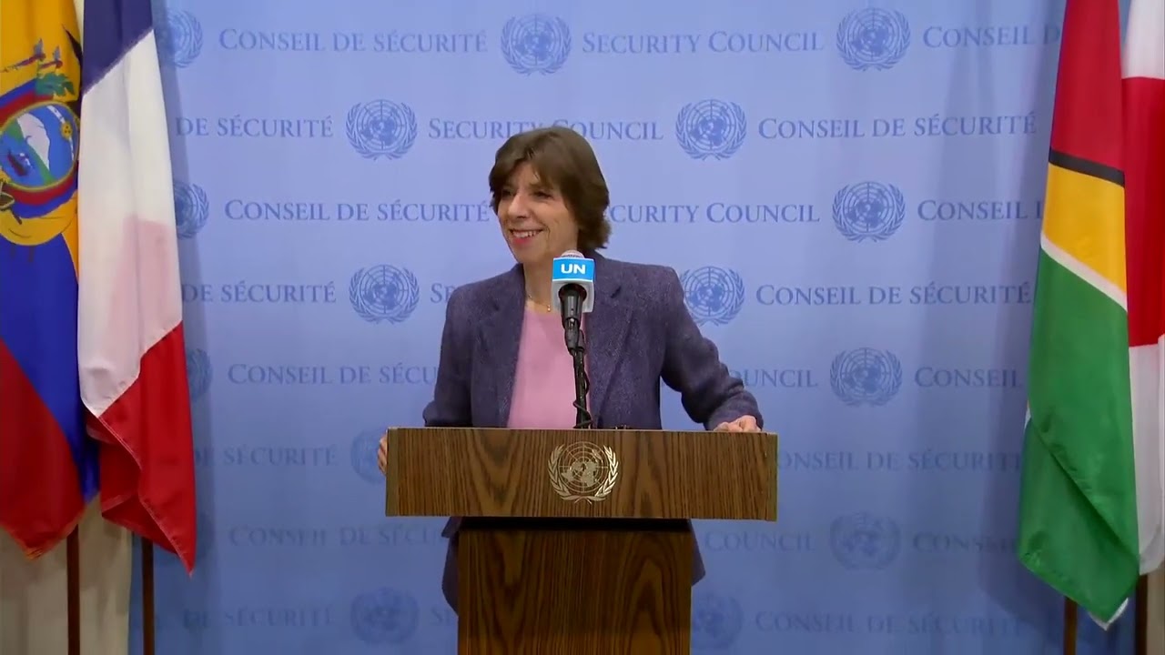 UNRWA Independent Review Group on the Israel/Palestine Crisis | UN Security Council