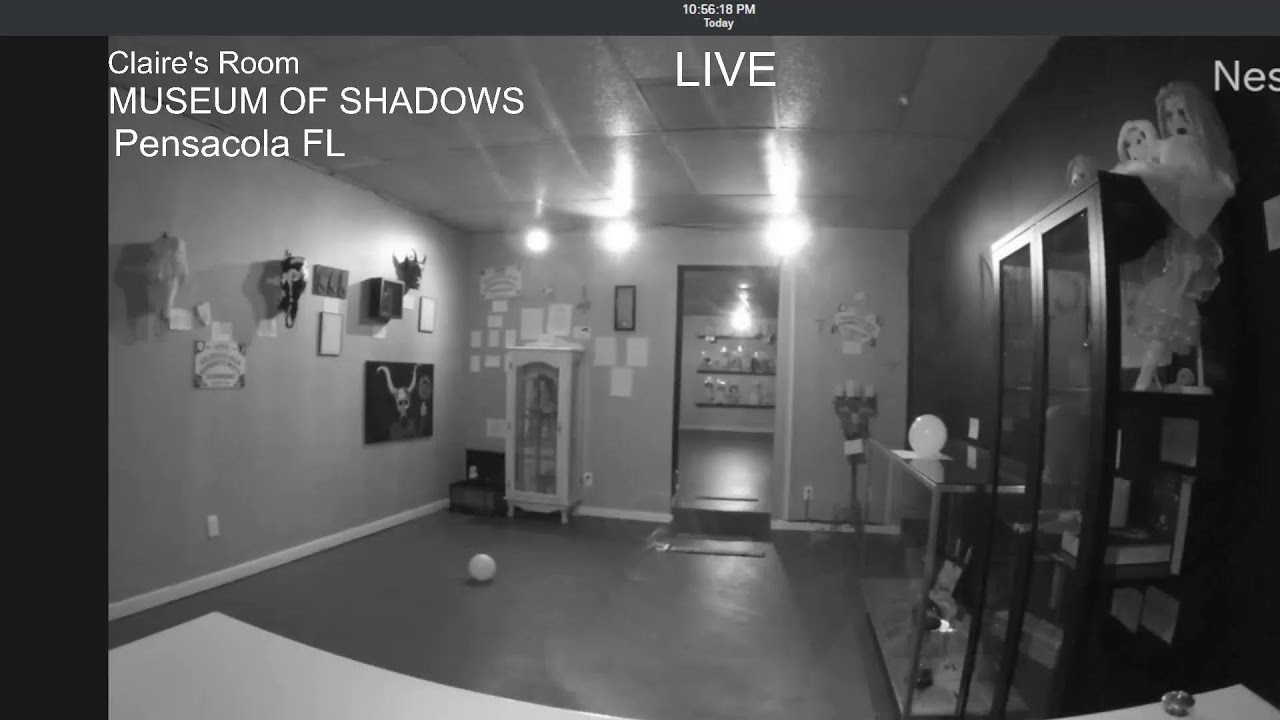 Museum of Shadows Live Stream