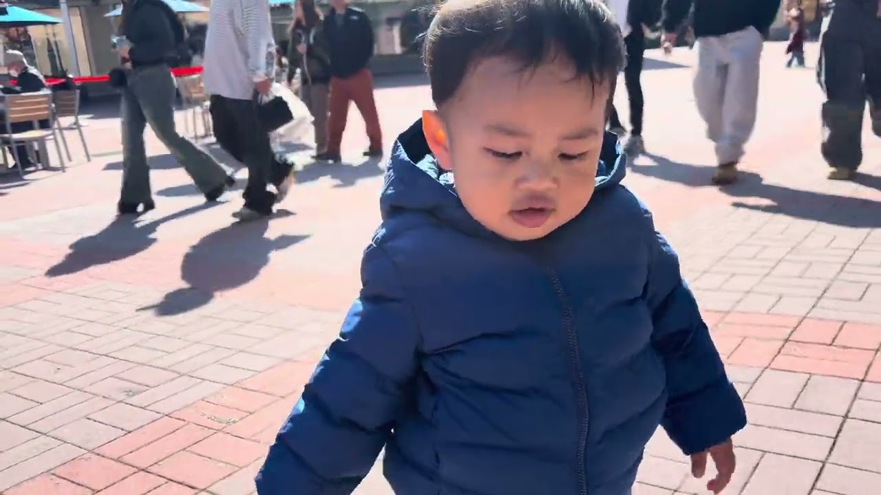 Trip to Mt. Fuji and Atami - Japan Vlog Eps. 5 #familyvlog #travellingwithbaby 