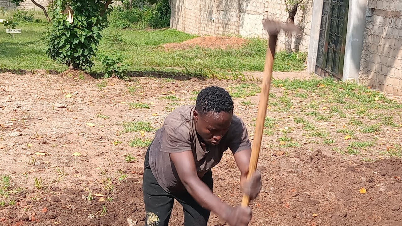Landscaping Villa 19  