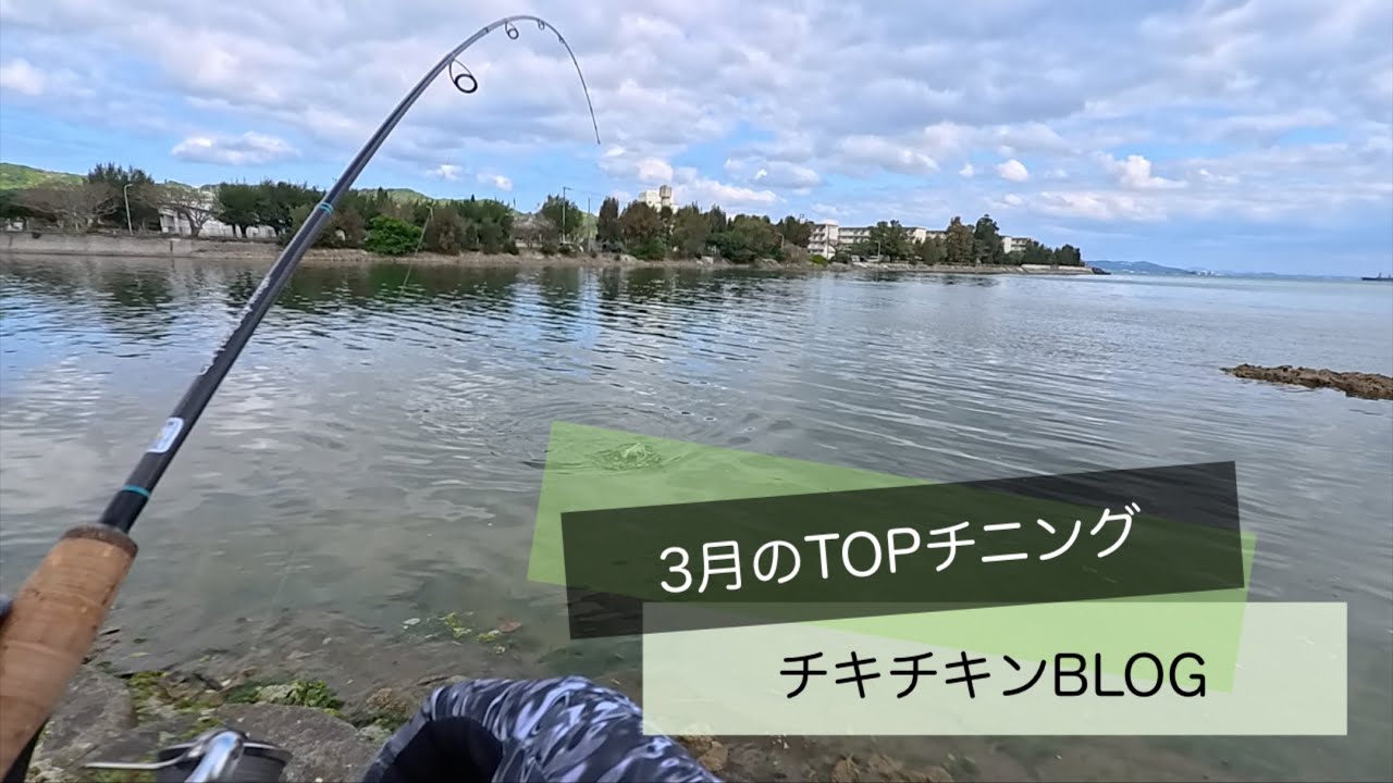 ［沖縄］3月のTOPチニング［ルアーフィッシング］#沖縄 #釣り #fishing #fishingvideo