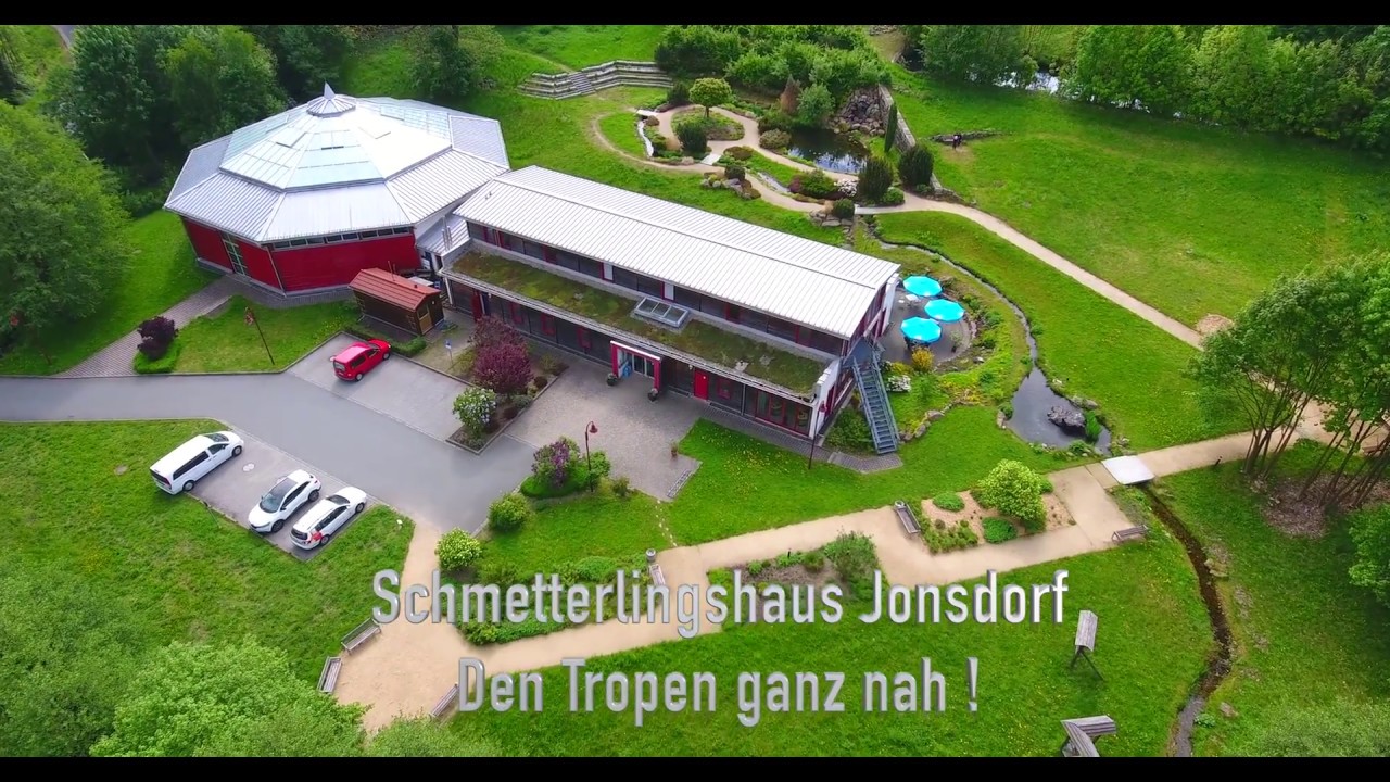 Schmetterlingshaus Jonsdorf im Zittauer Gebirge