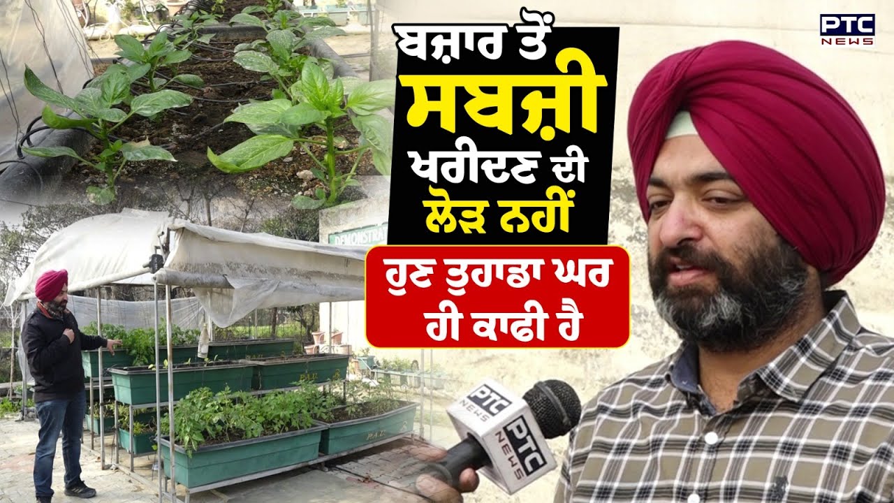 PAU Research on vegetables : ਬਜ਼ਾਰ ਤੋਂ ਸਬਜ਼ੀ ਖਰੀਦਣ ਦੀ ਲੋੜ ਨਹੀਂ ਹੁਣ ਤੁਹਾਡਾ ਘਰ ਹੀ ਕਾਫੀ ਹੈ