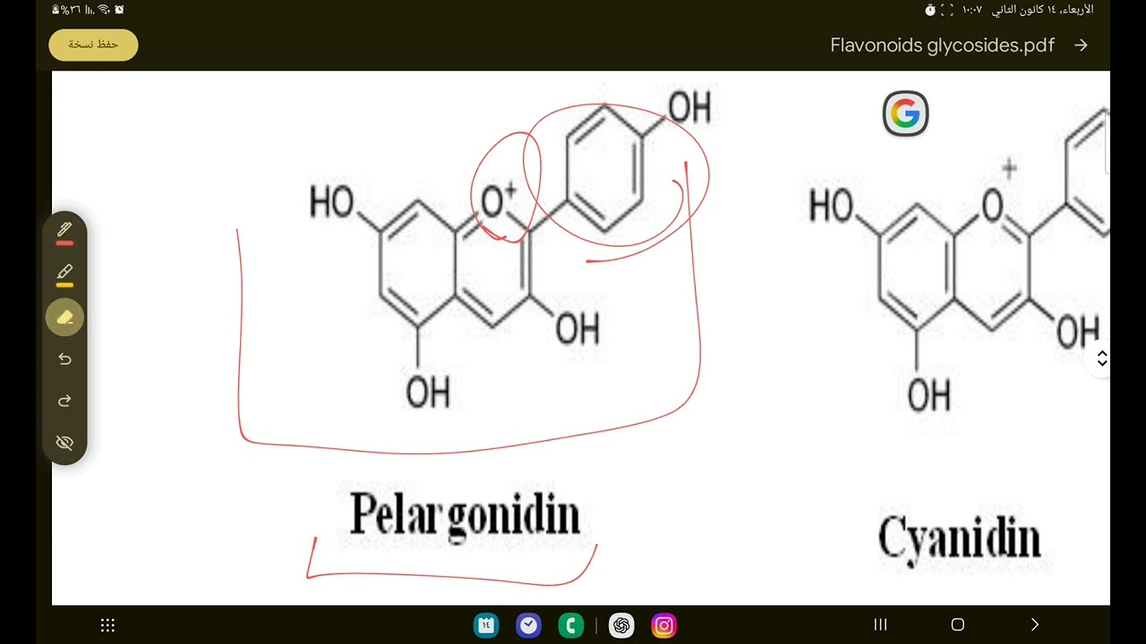 Flavonoid glycosides,  part3