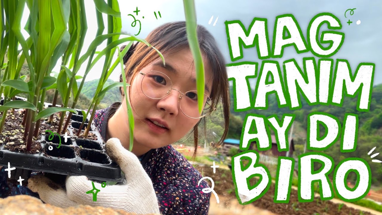 (May FARM kami sa KOREA?) - FARMING with my KOREANA LOLA 👩🏻&zwj;🌾🌽🇰🇷 | Juwonee