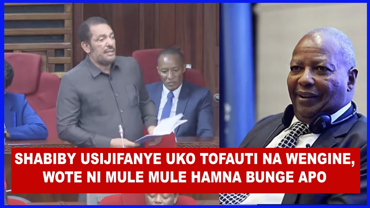 SLAA AMVAA VIKALI MBUNGE SHABIBY SAKATA LA UFISADI, YEYE NAE NI WALEWALE TU