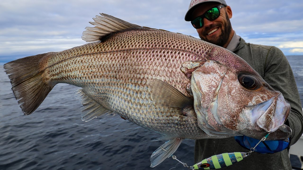 Медленный джиггинг - медленный джиггинг Snapper