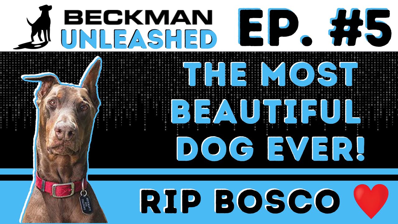 RIP Bosco. How I Lost My Beautiful Helper Dog and the Worst Vet Ever! Beckman Unleashed - Episode 5