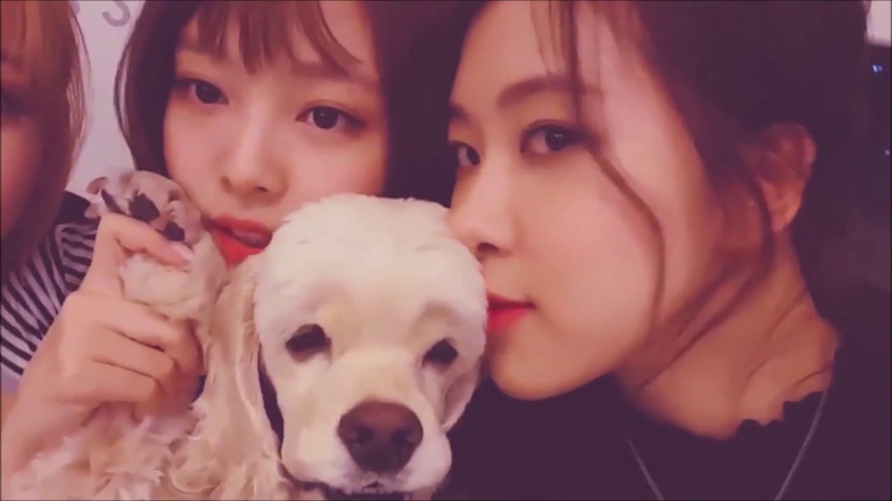 BLACKPINK Chaennie