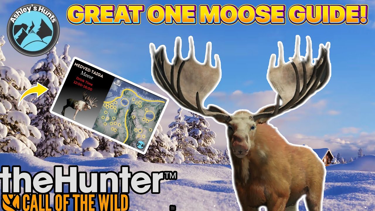 GREAT ONE MOOSE GUIDE WITH EXTREME HERD MANAGEMENT!- The Hunter call of the Wild