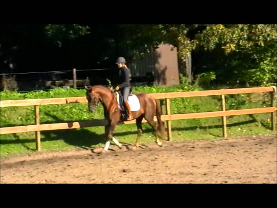 4Jarige ruin Kaiserkult X Davignon