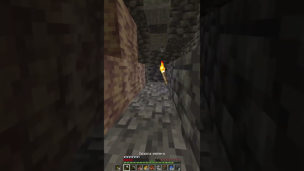 bvkos vs minecraft #shorts #short #shortvideo #twitch #minecraft