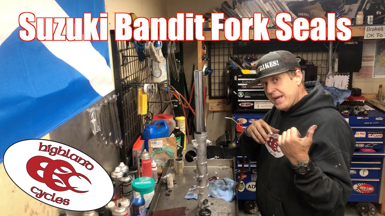 Fork Seals : Suzuki Bandit 1200