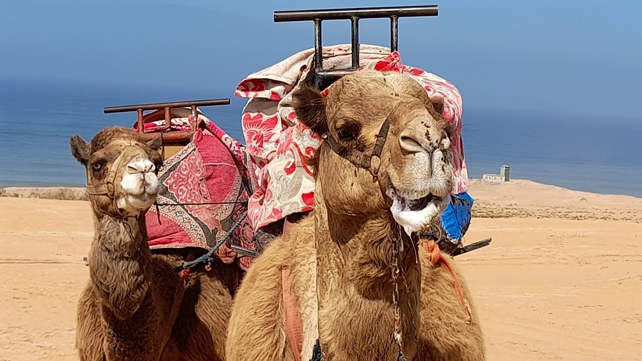 Agadir 2024