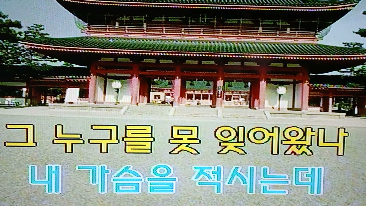태종대의밤#현당원곡#청목화