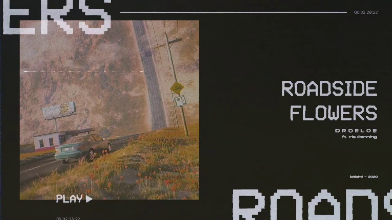 DROELOE - Roadside Flowers (ft. Iris Penning) [Official Audio]