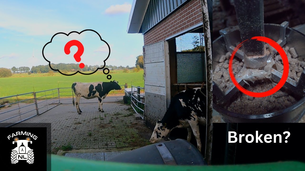 Het Jongvee wat laten Leren & Zuinig omgaan met Krachtvoer