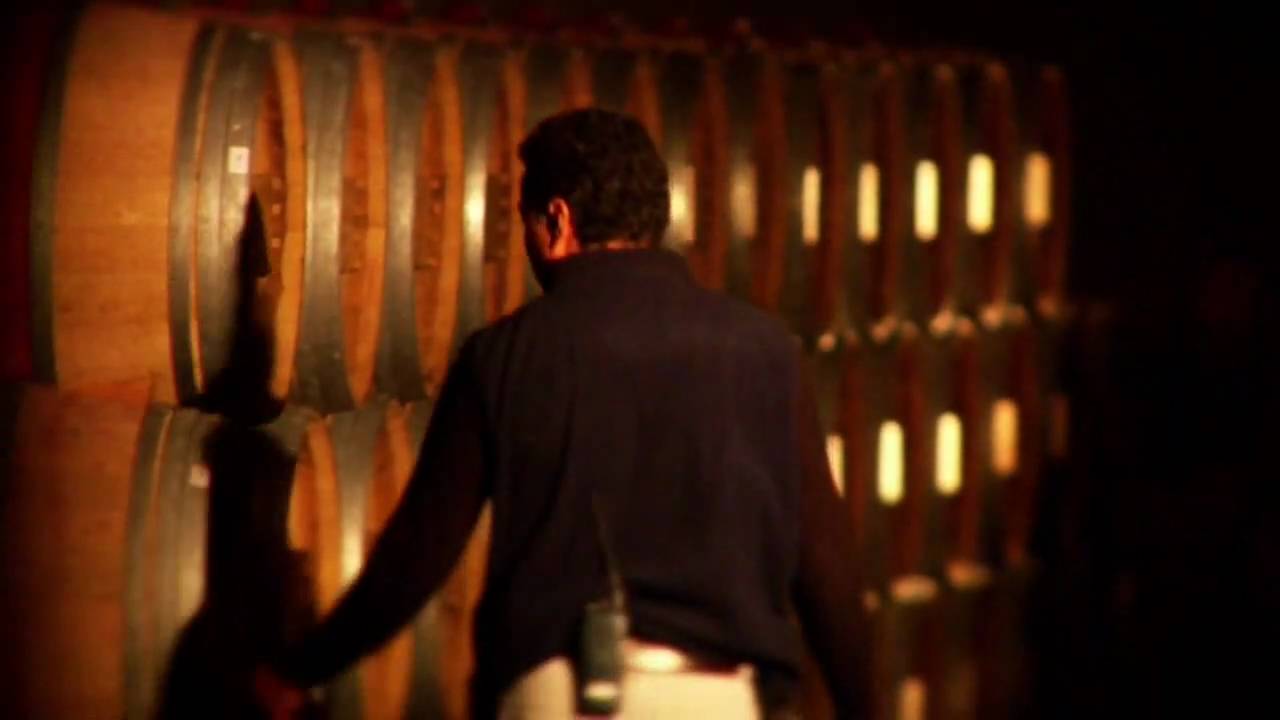 Quintessa - Harvest at The Quintessential Wine Estate