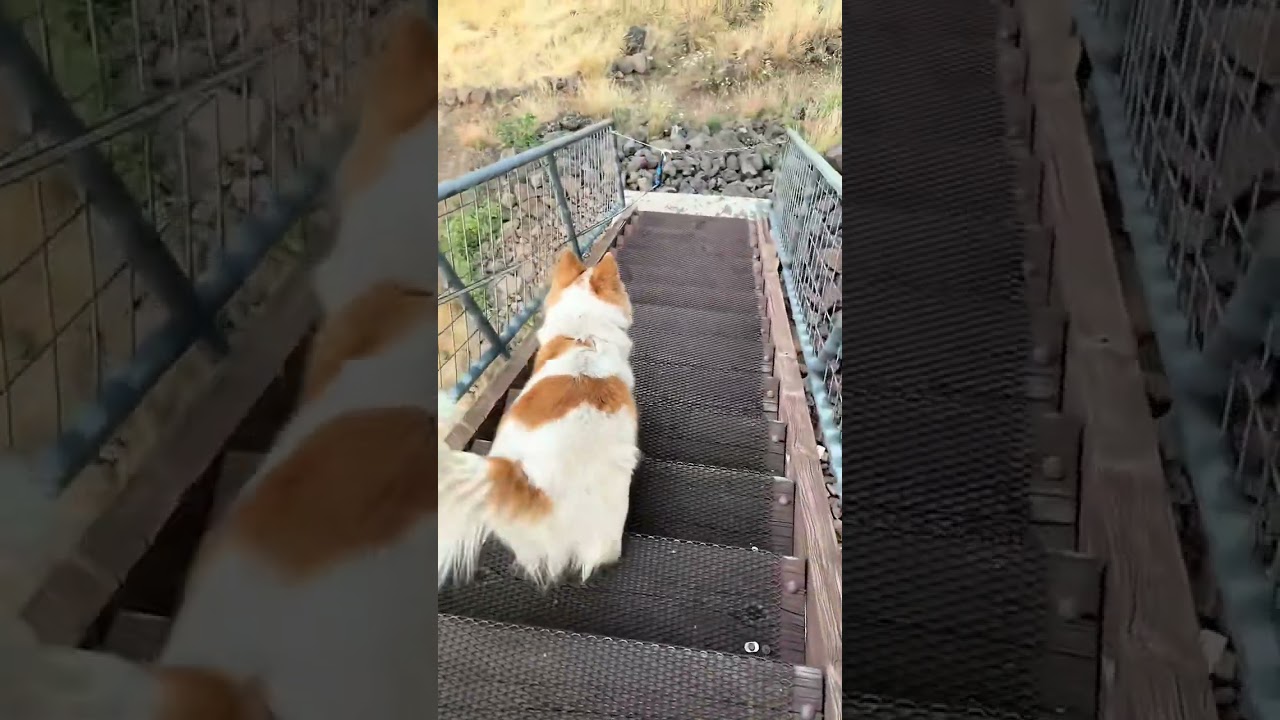 Inside tour of the fire lookout 🥰 #firelookout #lookoutlife #seasonalwork #lookoutformichelle