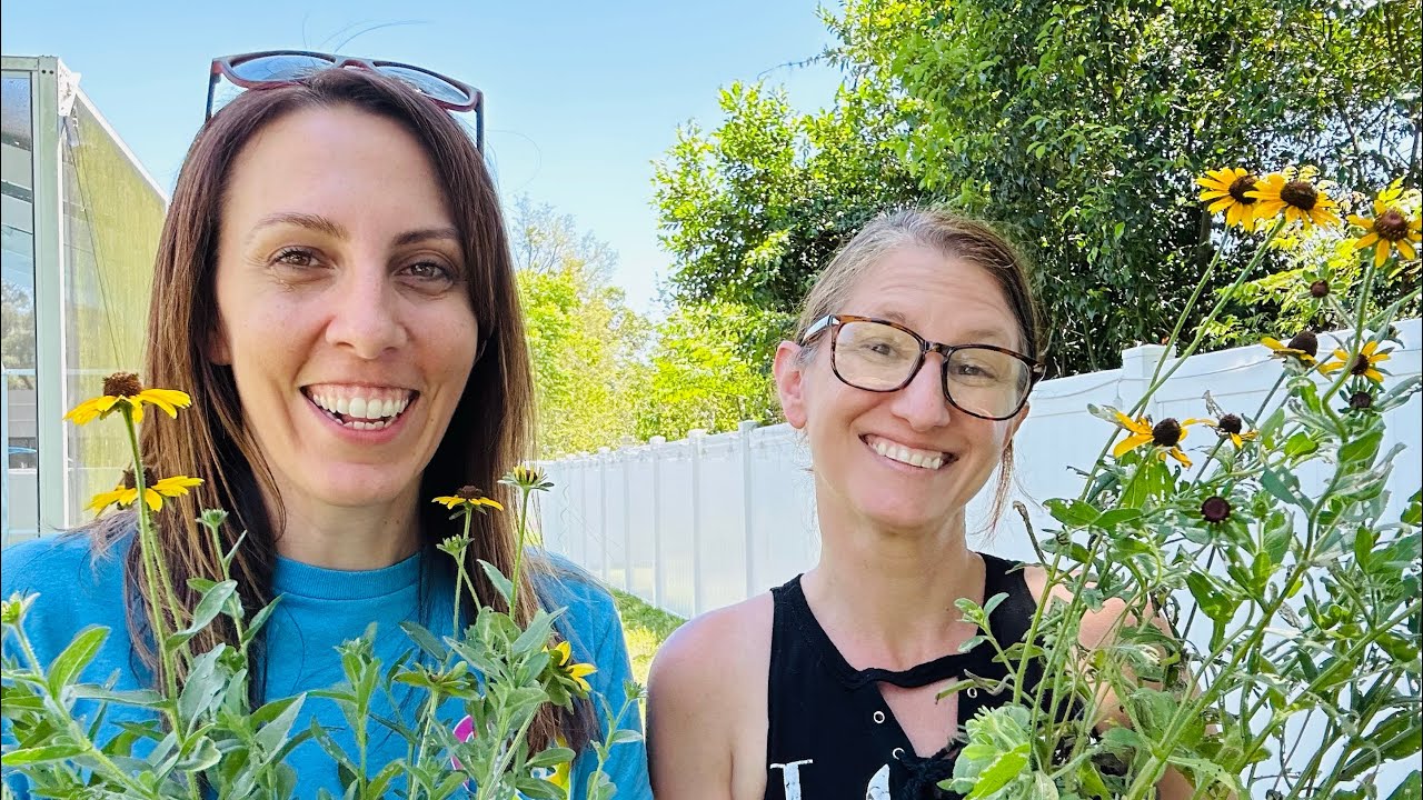 Your FIRST Native Garden: How to plant a Native Garden for Beginners