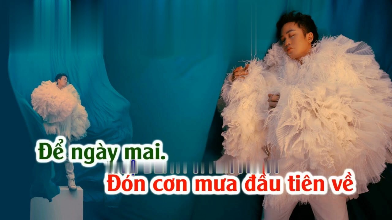Con Cò Karaok Tùng Dương New