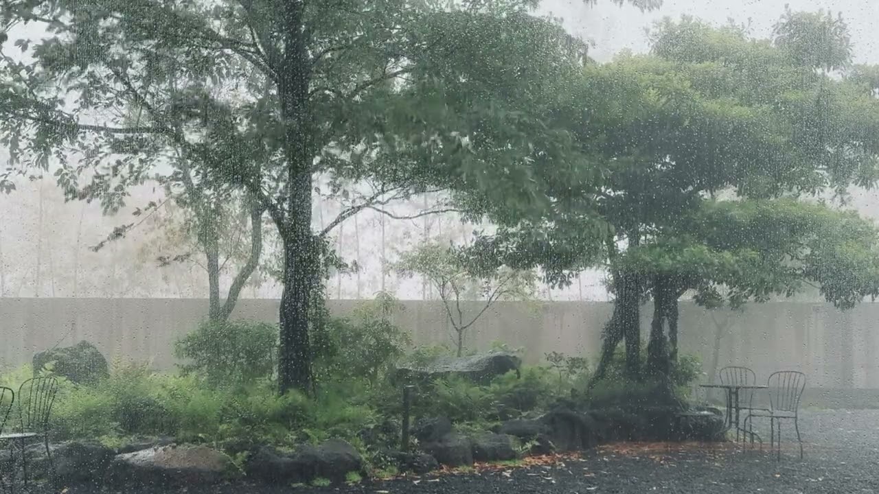 🌧️ Rainy Day Café Reflections | Nostalgic Lo-Fi, Chillhop & Ambient Vibes | 비오는 날 카페 성찰 | SynthEchos