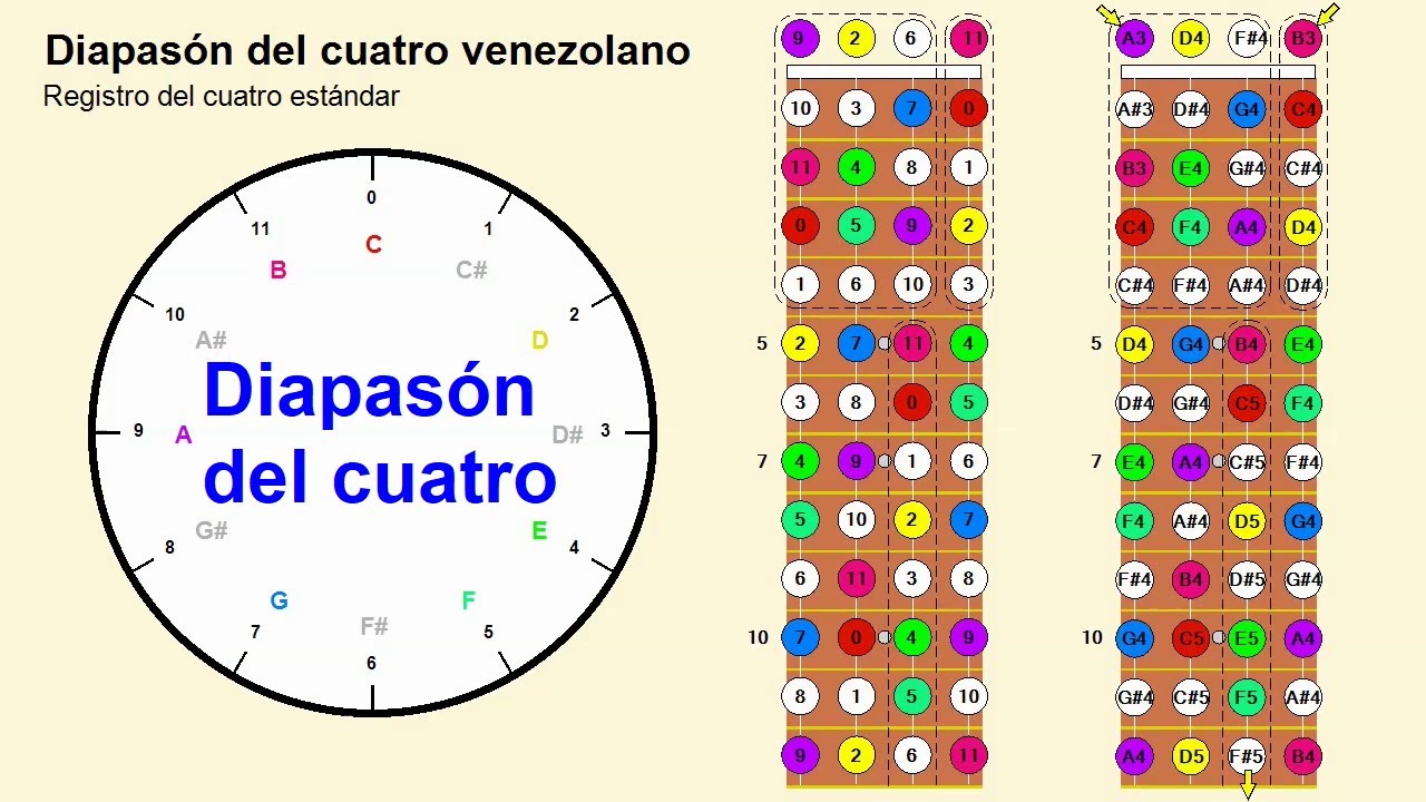 Diapasón del cuatro venezolano - Estudio detallado