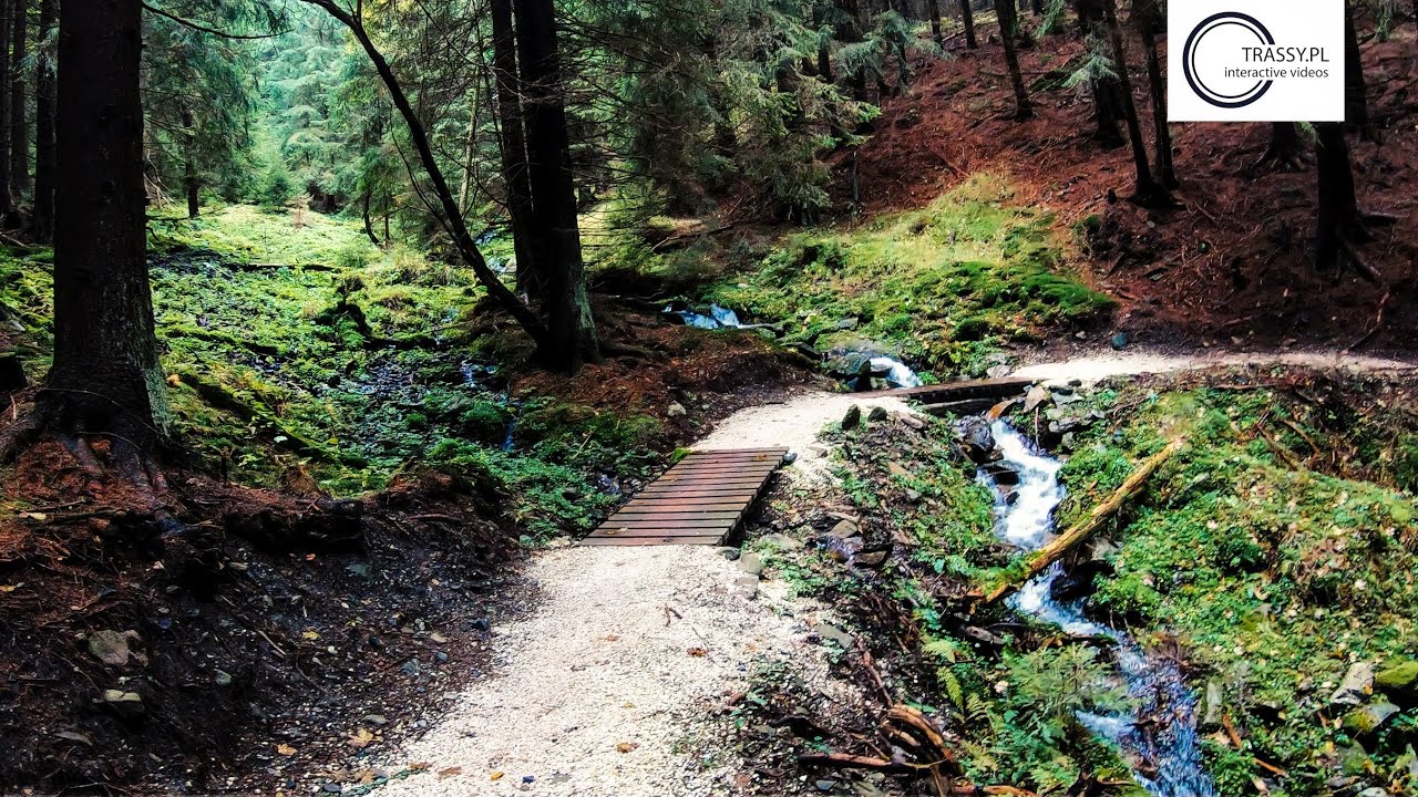Singletrack Glacensis - Pętla Stronie Śląskie, Kotlina Kłodzka, MTB.