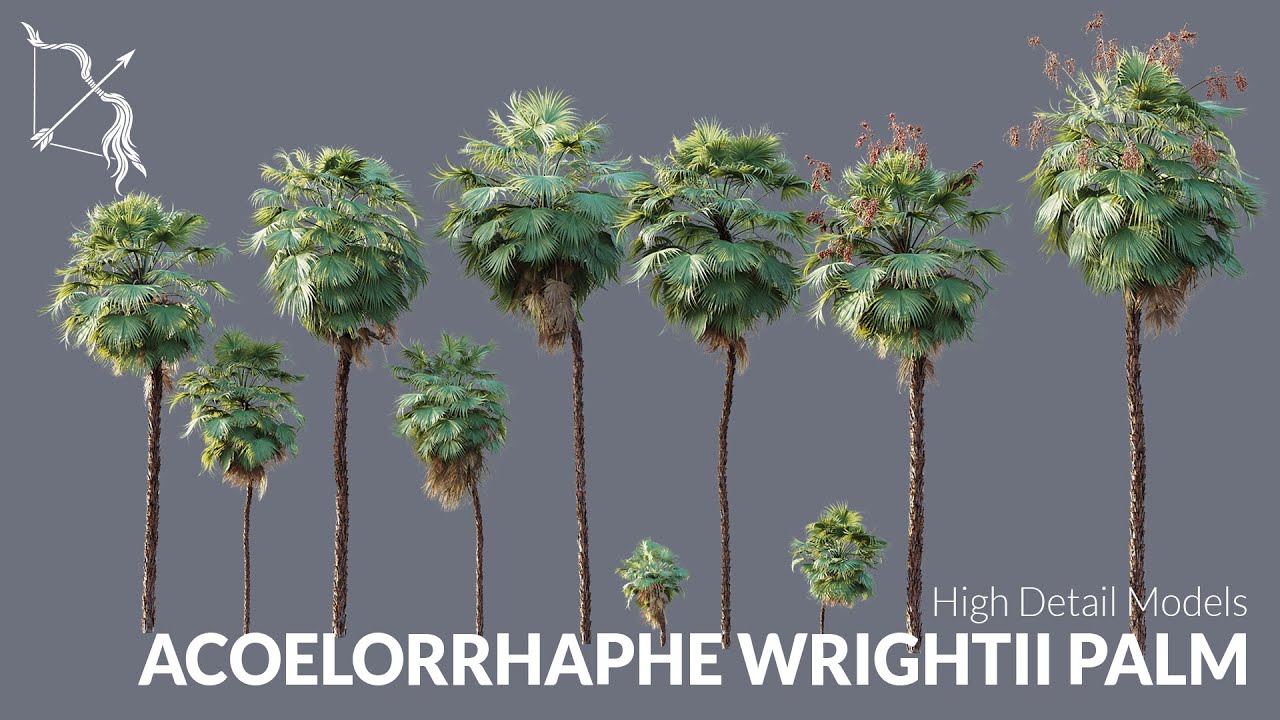 Ultra Realistic Acoelorrhaphe Wrightii Palm Tree for Unreal Engine | Hyper realistic WIND RAIN SNOW