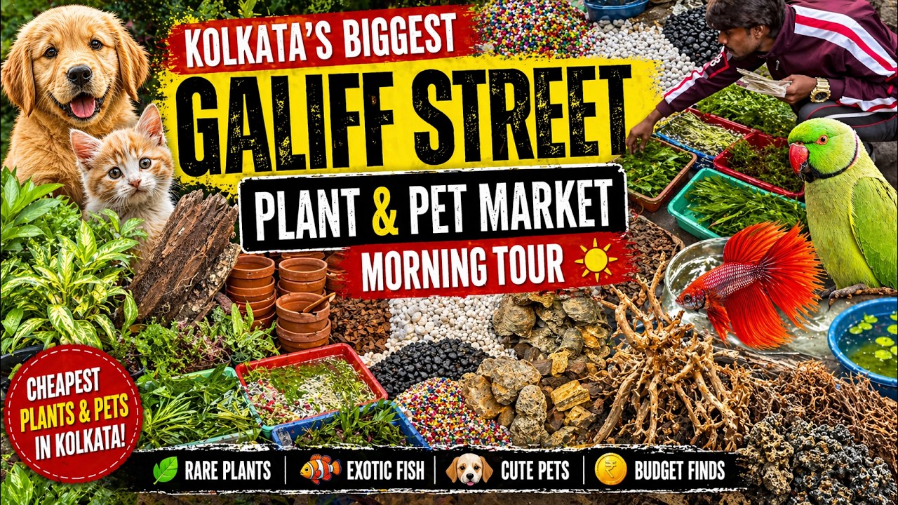 Kolkata’s Hidden Plant & Pet Market! 2026 🌿🐠 Walking Through Galiff Street Sunday Bazaar in India