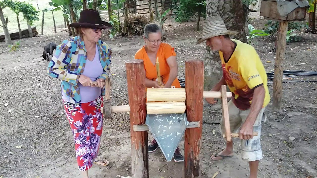 Moenda de cana artesanal fazendo ijenho